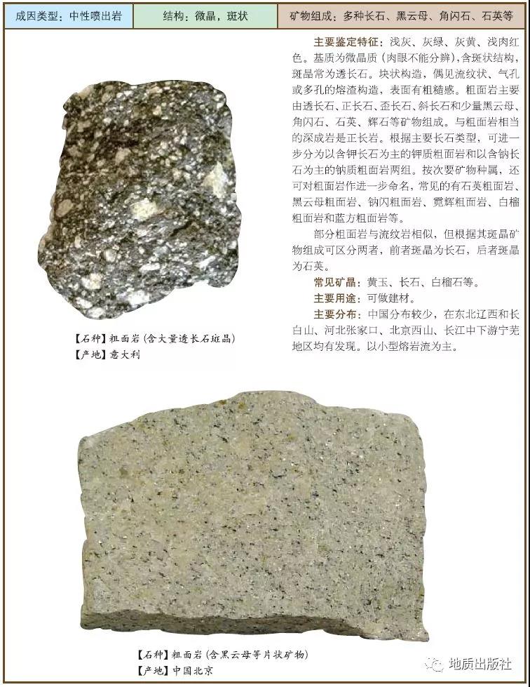 10 粗面巖.jpg