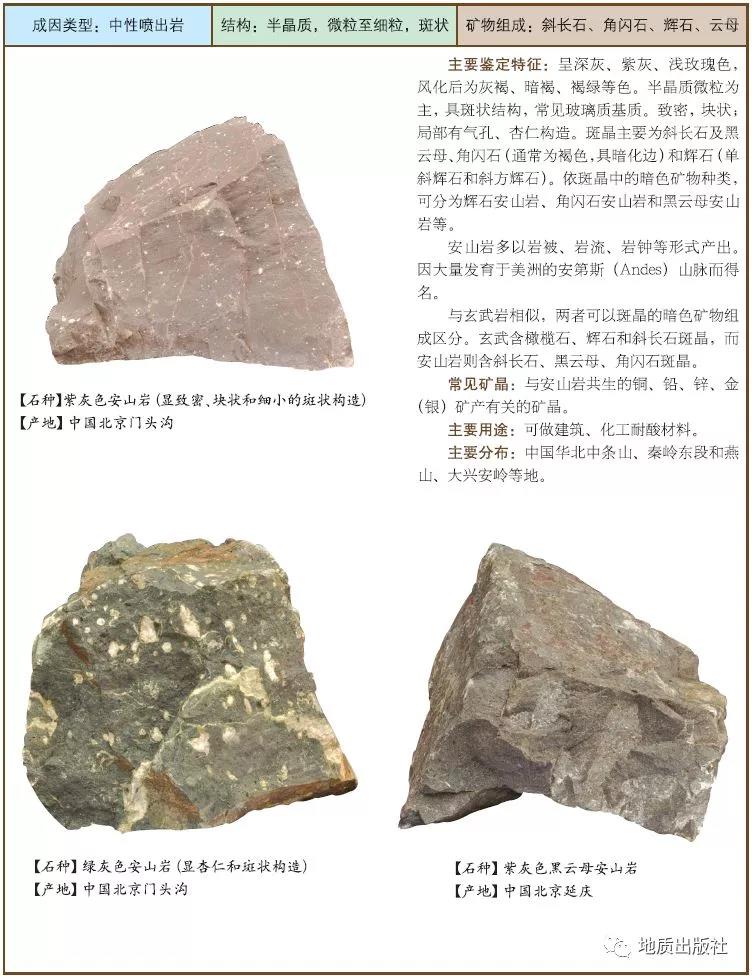 11 安山巖.jpg