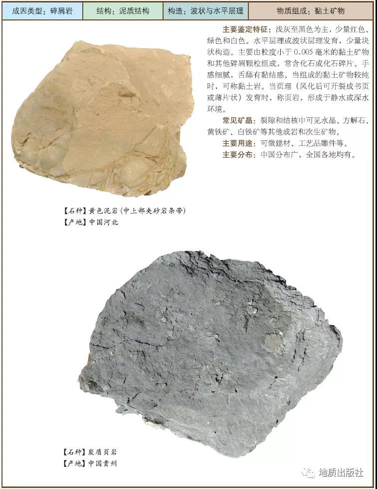 4 泥巖.jpg