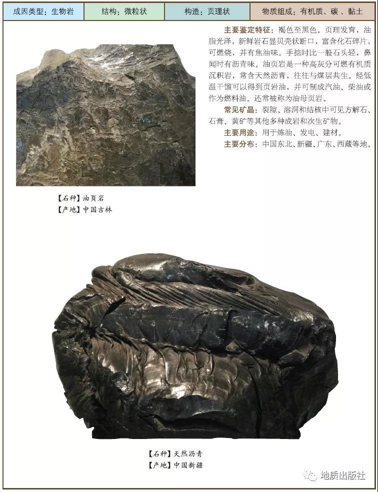 10 油頁巖.jpg
