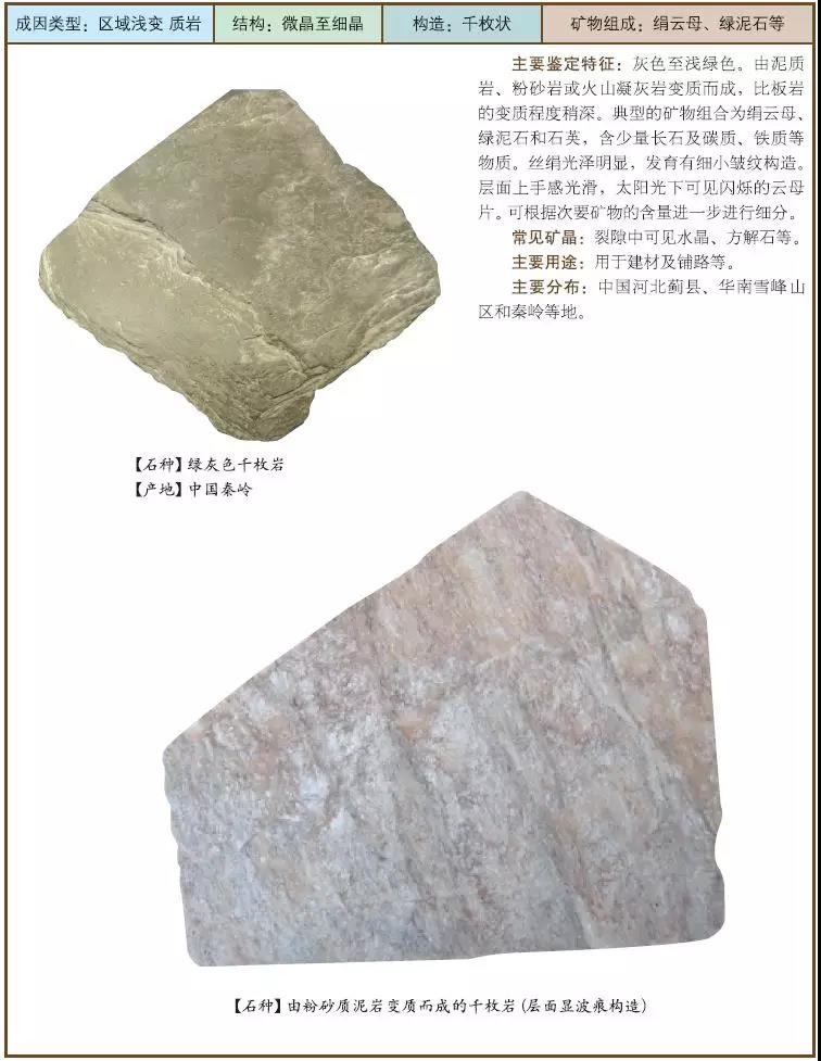 2 千枚巖.jpg
