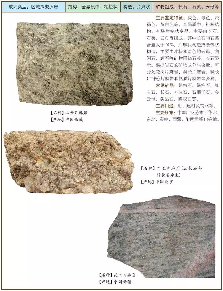 4 片麻巖.jpg